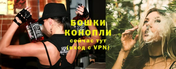 сатива Лагань