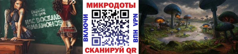 цена   Кувшиново  Галлюциногенные грибы Psilocybine cubensis 
